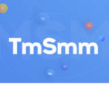 TmSmm